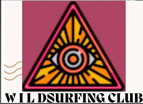 wildsurfingclub.com